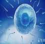 腺肌症能要孩子吗？腺肌症如何提高移植成功率？