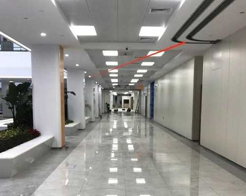 杭州供卵一个卵多钱排卵期戴了安全套怀孕几率